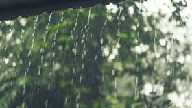 Monsoon Tips: மழைக்காலத்தில் வீட்டை இப்படி பாரமரிங்க.. எதிர்கால சிக்கலை தடுக்கலாம்!...