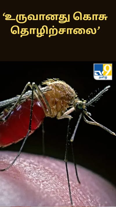 ‘உருவானது கொசு தொழிற்சாலை’.. டெங்குக்கு எதிராக மக்களை பாதுகாக்க புதிய திட்டம்!!