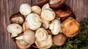 Monsoon Avoids Foods: மழைக்காலத்தில் காளான் ஆரோக்கியமானதா? தவிர்ப்பது ஏன் நல்லது..? Monsoon Avoids Foods: மழைக்காலத்தில் காளான் ஆரோக்கியமானதா? தவிர்ப்பது ஏன் நல்லது..?