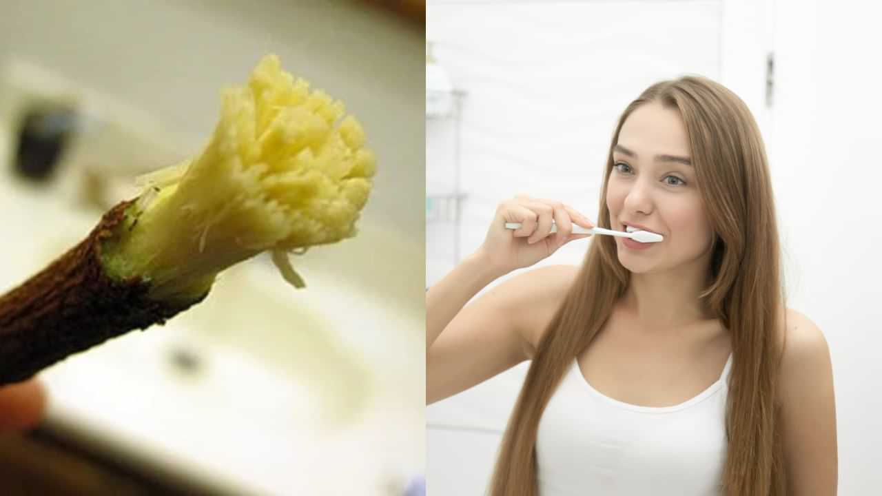 Neem Stick: வேப்பங்குச்சியால் வாரம் ஒரு முறை.. பற்கள் ஆரோக்கியம் கூடும்!