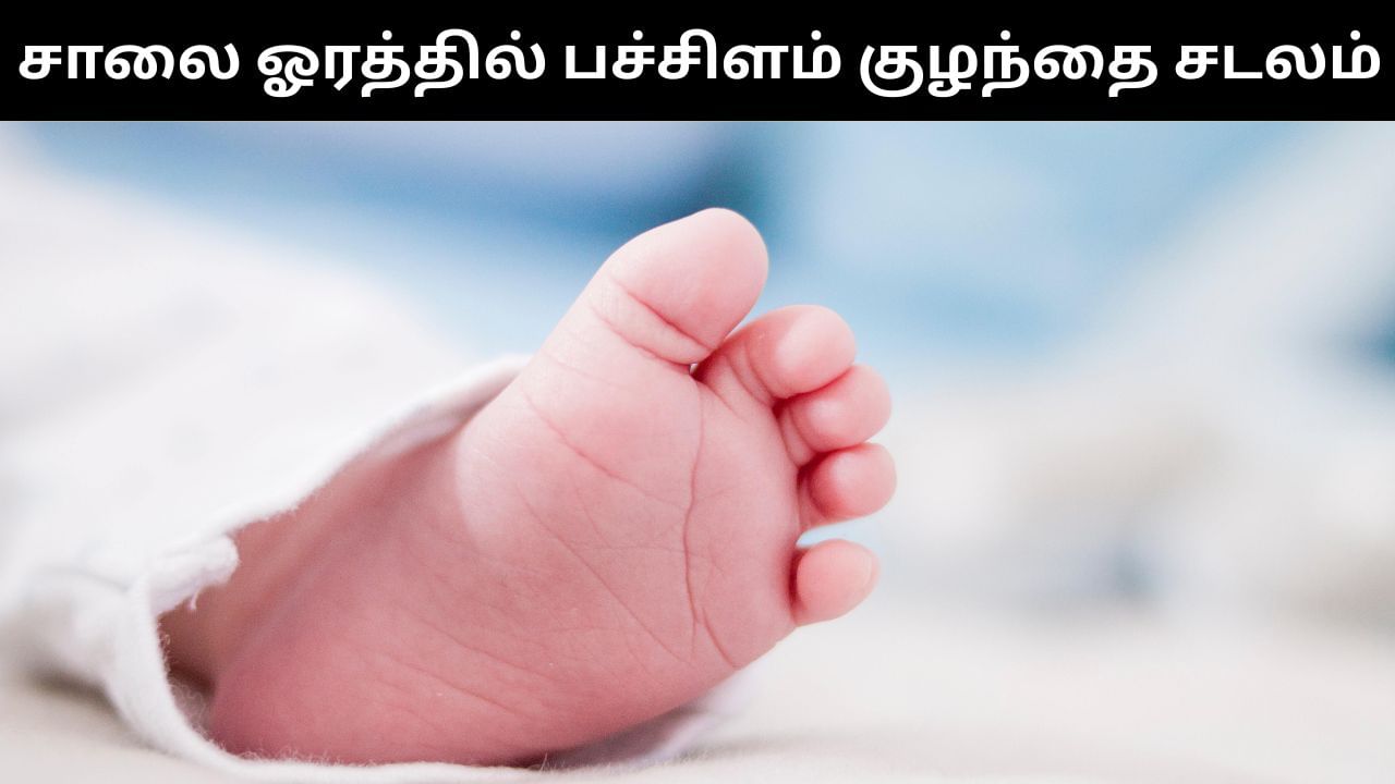 சாலை ஓரம் வீசப்பட்ட பச்சிளம் பெண் குழந்தையின் சடலம்.. உடலை கைப்பற்றி போலீசார் விசாரணை!