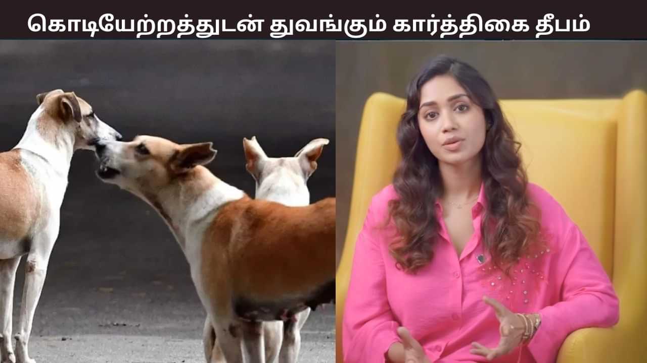 நாய்களை சுதந்திரமாக விட வேண்டும்.... அது அரசின் கடமை - அரசுக்கு நிவேதா பெத்துராஜ் கோரிக்கை