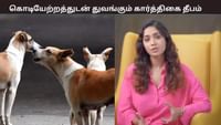 நாய்களை சுதந்திரமாக விட வேண்டும்.... - நிவேதா பெத்துராஜ் கோரிக்கை...