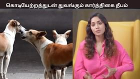 நாய்களை சுதந்திரமாக விட வேண்டும்…. அது அரசின் கடமை – அரசுக்கு நிவேதா பெத்துராஜ் கோரிக்கை...