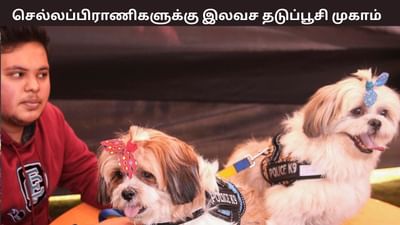 இரண்டாவது வாரமாக நடக்கும் செல்லப்பிராணிகளுக்கான தடுப்பூசி முகாம்