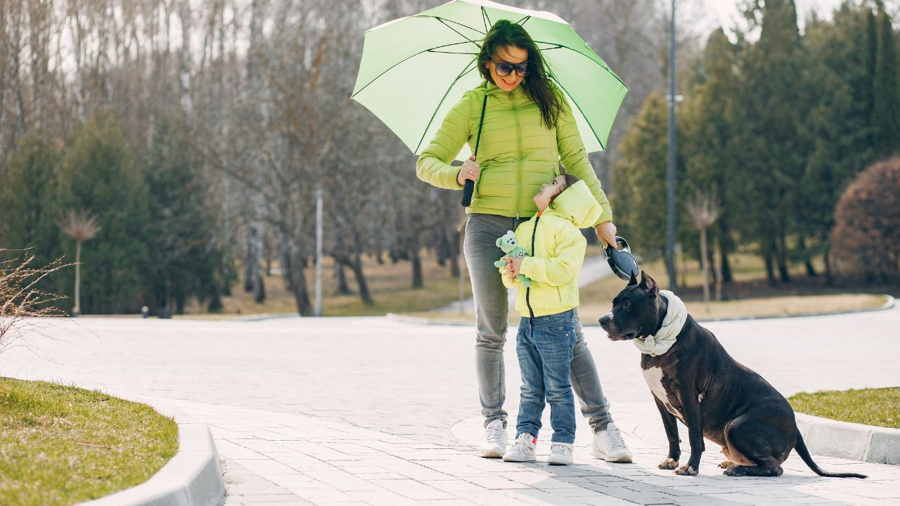 Monsoon Tips: வீட்டில் செல்லப்பிராணிகள் இருக்கா? மழைக்காலத்தில் இப்படி கேர் பண்ணுங்க!