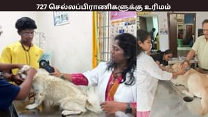 727 செல்லப்பிராணிகளுக்கு தடுப்பூசி மற்றும் மைக்ரோசிப்.. தவறவிட்டவர்கள் என்ன செய்ய வேண்டும்?