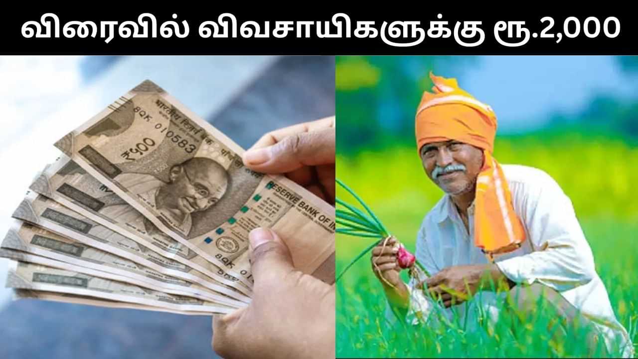 பிஎம் கிசான் 21வது தவணை எப்போது?.. மத்திய அமைச்சர் சொன்ன முக்கிய தகவல்! பிஎம் கிசான் 21வது தவணை எப்போது?.. மத்திய அமைச்சர் சொன்ன முக்கிய தகவல்!