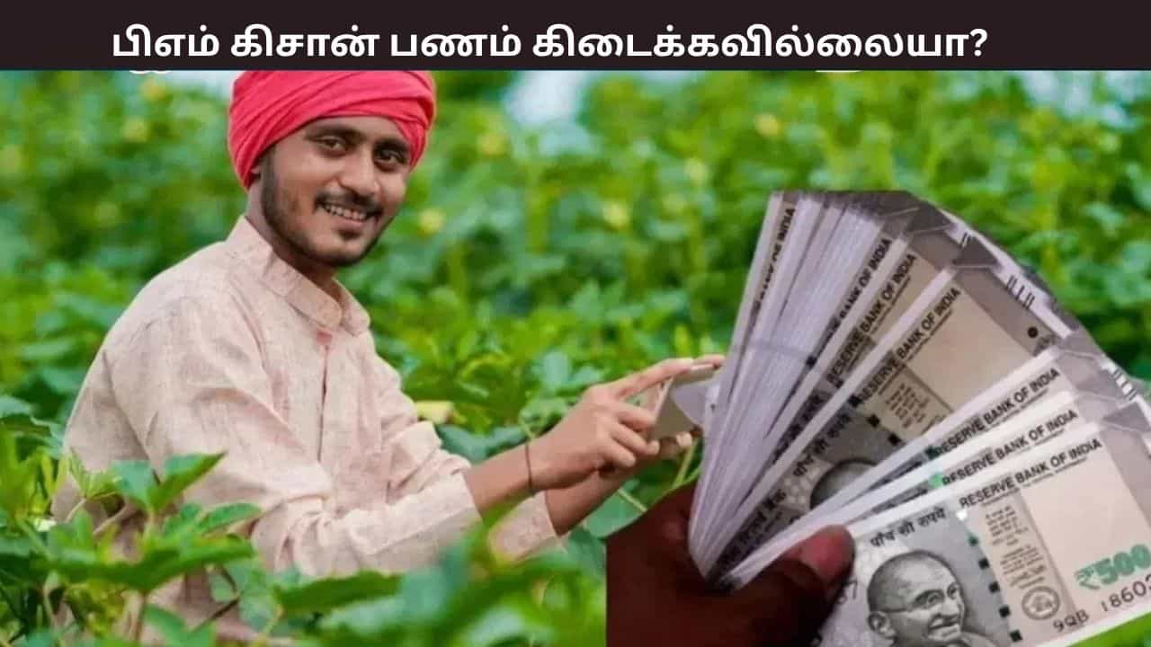 PM Kisan : பணம் உங்கள் கணக்கில் டெபாசிட் செய்யப்படவில்லையா? உடனே செய்ய வேண்டியவை