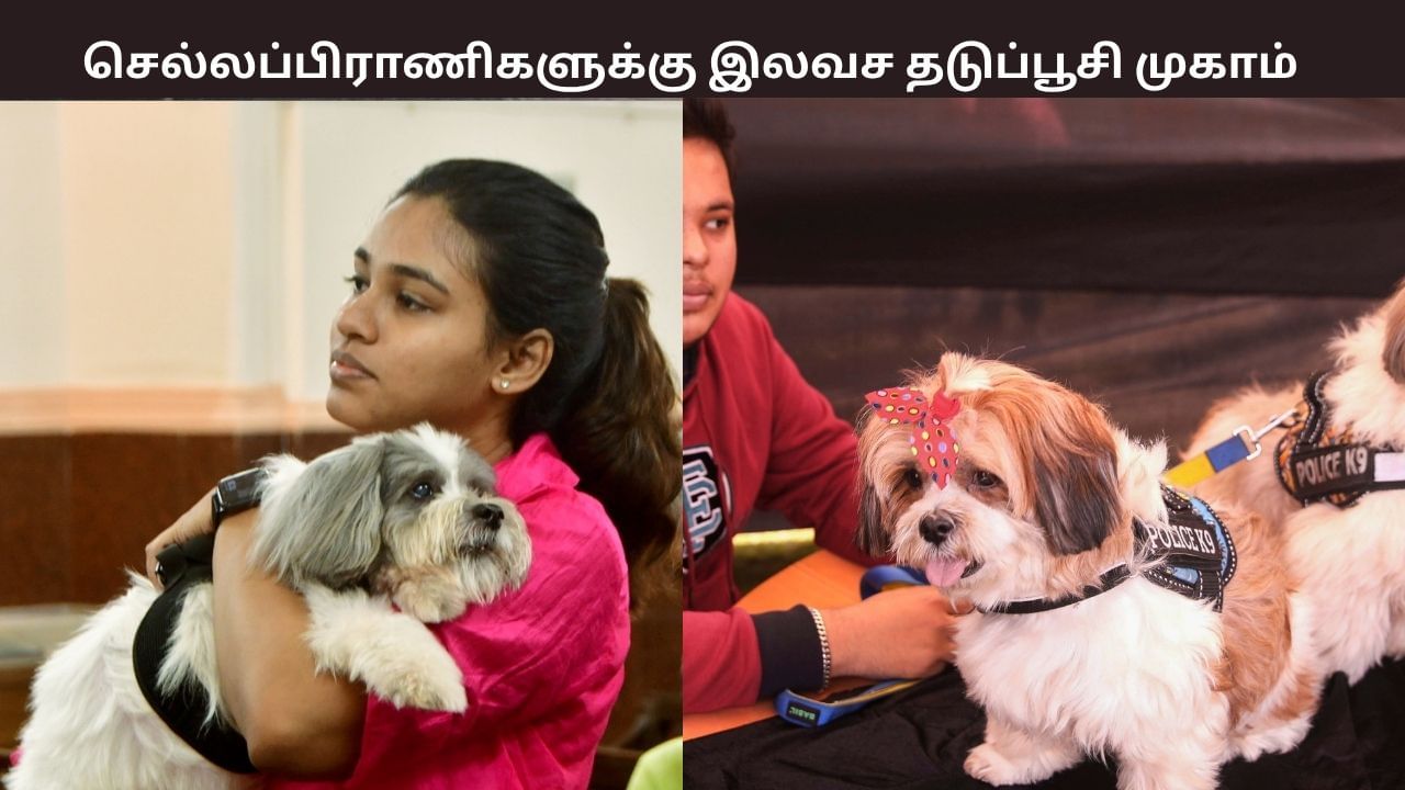 சென்னையில் செல்லப்பிராணிகளுக்கு இலவச ரேபிஸ் தடுப்பூசி முகாம்.. எத்தனை நாட்களுக்கு? நீங்கள் செய்ய வேண்டியது என்ன?