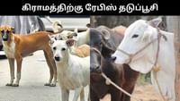 ரேபிஸ் தொற்று அச்சம் - கிராம மக்கள் 160 பேருக்கு தடுப்பூசி!...