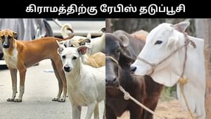 தெரு நாய் கடித்த மாட்டின் பாலை குடித்த கிராம மக்கள்.. 160 பேருக்கு ரேபிஸ் தடுப்பூசி! தெரு நாய் கடித்த மாட்டின் பாலை குடித்த கிராம மக்கள்.. 160 பேருக்கு ரேபிஸ் தடுப்பூசி!