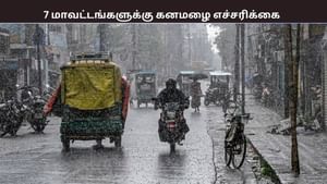 7 மாவட்டங்களில் பொளக்கப்போகும் மழை.. இன்னும் எத்தனை நாட்களுக்கு? 7 மாவட்டங்களில் பொளக்கப்போகும் மழை.. இன்னும் எத்தனை நாட்களுக்கு?