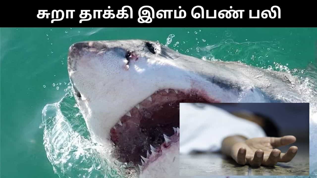 காதலனுடன் கடற்கரையில் குளித்த இளம் பெண்.. சுறா கடித்து பரிதாப பலி!