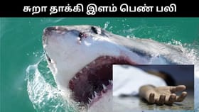 காதலனுடன் கடற்கரையில் குளித்த இளம் பெண்.. சுறா கடித்து பரிதாப பலி!...
