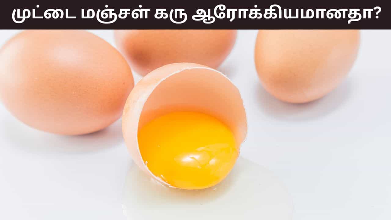 Health Tips: முட்டையின் மஞ்சள் கரு ஆரோக்கியமானதா..? யார் யாருக்கு தீங்கு..? Health Tips: முட்டையின் மஞ்சள் கரு ஆரோக்கியமானதா..? யார் யாருக்கு தீங்கு..?