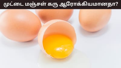 முட்டையின் மஞ்சள் கரு ஆரோக்கியமானதா..? யார் யாருக்கு தீங்கு..?