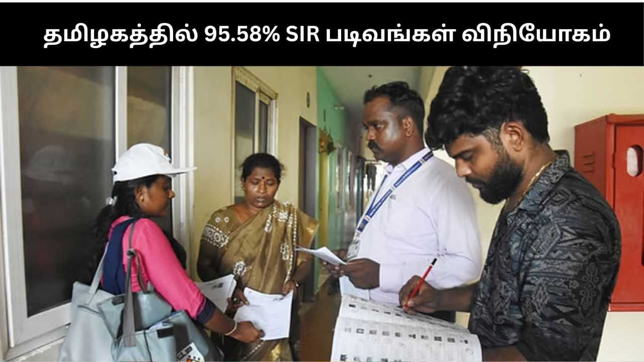 தமிழகத்தில் 95.58% SIR படிவங்கள் விநியோகம்: தலைமை தேர்தல் ஆணையம் தகவல்! தமிழகத்தில் 95.58% SIR படிவங்கள் விநியோகம்: தலைமை தேர்தல் ஆணையம் தகவல்!