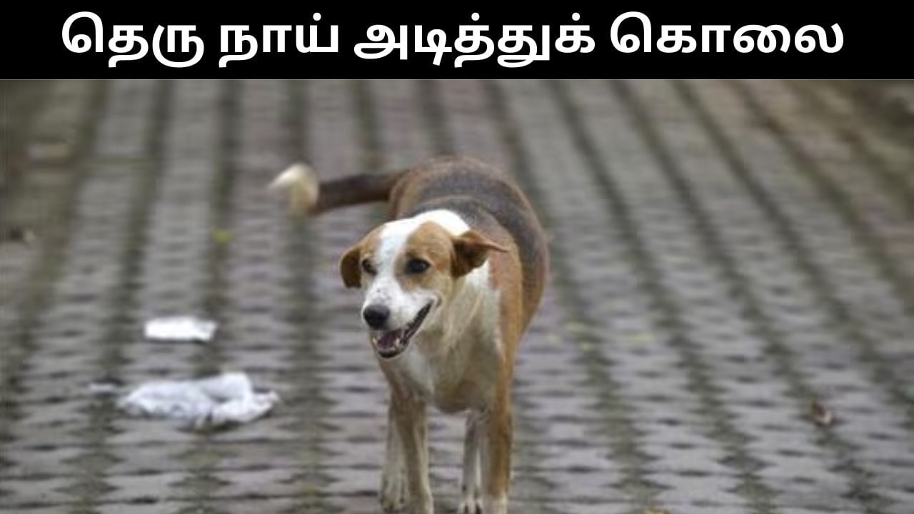 கடிக்க பாய்ந்ததால் ஆத்திரம்.. தெரு நாயை கட்டையால் அடித்து கொலை செய்த நபர்!