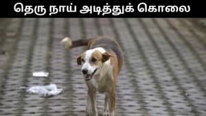 கடிக்க பாய்ந்ததால் ஆத்திரம்.. தெரு நாயை கட்டையால் அடித்து கொலை செய்த நபர்! கடிக்க பாய்ந்ததால் ஆத்திரம்.. தெரு நாயை கட்டையால் அடித்து கொலை செய்த நபர்!