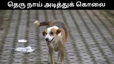 தெரு நாயை கட்டையால் அடித்து கொலை செய்த நபர்!