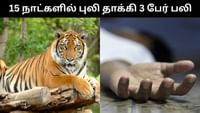 பெங்களூரில் கடந்த 15 நாட்களில் புலிகள் தாக்கி 3 பேர் பலி!...