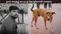 நாய் கடித்ததை கண்டுகொள்ளாத தொழிலாளி - ரேபிஸால் உயிரிழப்பு...