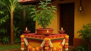 துளசி பூஜைக்கு பின்னால் இருக்கும் அறிவியல் காரணங்கள் – நிபுணர்கள் சொல்வது என்ன?