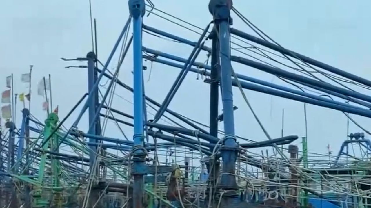 தூத்துக்குடியில் கனமழை.. கரையில் நிறுத்தப்பட்ட மீன் பிடி படகுகள்! தூத்துக்குடியில் கனமழை.. கரையில் நிறுத்தப்பட்ட மீன் பிடி படகுகள்!