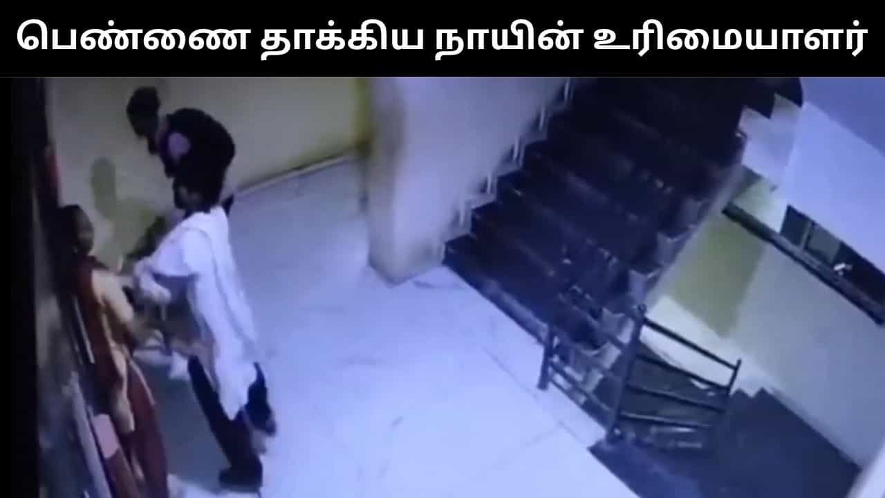 Viral Video : நாய் கடித்ததை தட்டி கேட்ட பெண்.. கன்னத்தில் அறைந்த உரிமையாளர்.. ஷாக் வீடியோ!
