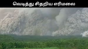 இந்தோனேசியாவில் வெடித்து சிதறிய எரிமலை.. அச்சுற்றுத்தும் கரும்புகை.. பொதுமக்கள் அச்சம்! இந்தோனேசியாவில் வெடித்து சிதறிய எரிமலை.. அச்சுற்றுத்தும் கரும்புகை.. பொதுமக்கள் அச்சம்!