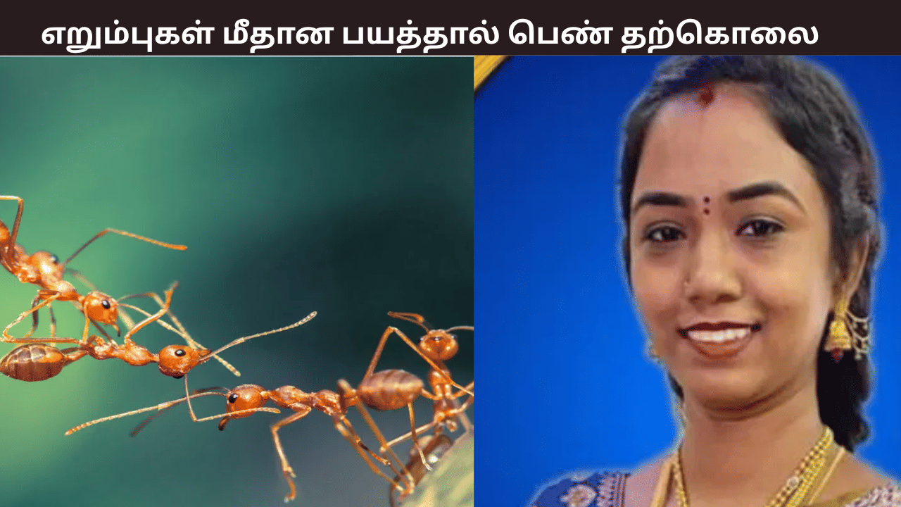 ‘எறும்புகளுடன் என்னால் வாழ முடியாது… குழந்தையைப் பார்த்துக்கோங்க..’ – தற்கொலை செய்துகொண்ட பெண்