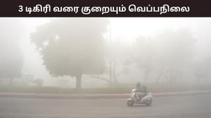 ஊட்டியில் உறைபனி.. 3 டிகிரி செல்சியஸ் வரை குறையும் வெப்பநிலை.. வானிலை ரிப்போர்ட்..