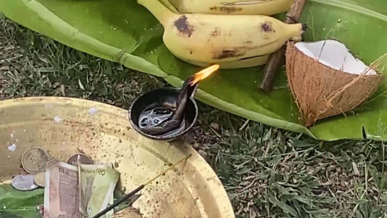 கோவையில் 200 ஆண்டுகள் பழமையான கோயில்.. பக்தர்கள் வித்தியாசமான நேர்த்திக்கடன்! கோவையில் 200 ஆண்டுகள் பழமையான கோயில்.. பக்தர்கள் வித்தியாசமான நேர்த்திக்கடன்!