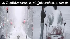 அமெரிக்காவை வாட்டி வதைக்கும் பனிப்புயல்கள்.. 5.5 கோடி மக்கள் பாதிப்பு! அமெரிக்காவை வாட்டி வதைக்கும் பனிப்புயல்கள்.. 5.5 கோடி மக்கள் பாதிப்பு!