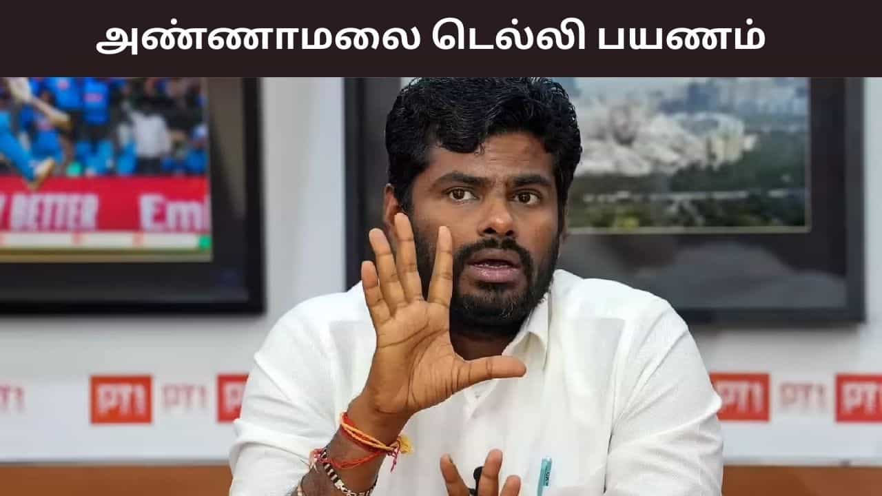 ஓபிஎஸ், டிடிவி தினகரனை சந்தித்த அண்ணாமலை.. திடீர் டெல்லி பயணம்.. பின்னணி என்ன? ஓபிஎஸ், டிடிவி தினகரனை சந்தித்த அண்ணாமலை.. திடீர் டெல்லி பயணம்.. பின்னணி என்ன?