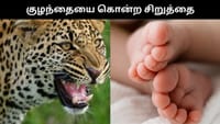 தூங்கிக்கொண்டு இருந்த பச்சிளம் குழந்தையை கடித்துக் கொன்ற சிறுத்தை...