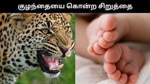 வீட்டில் தூங்கிக்கொண்டு இருந்த பச்சிளம் குழந்தையை கடித்துக் கொன்ற சிறுத்தை.. ஷாக் சம்பவம்! வீட்டில் தூங்கிக்கொண்டு இருந்த பச்சிளம் குழந்தையை கடித்துக் கொன்ற சிறுத்தை.. ஷாக் சம்பவம்!