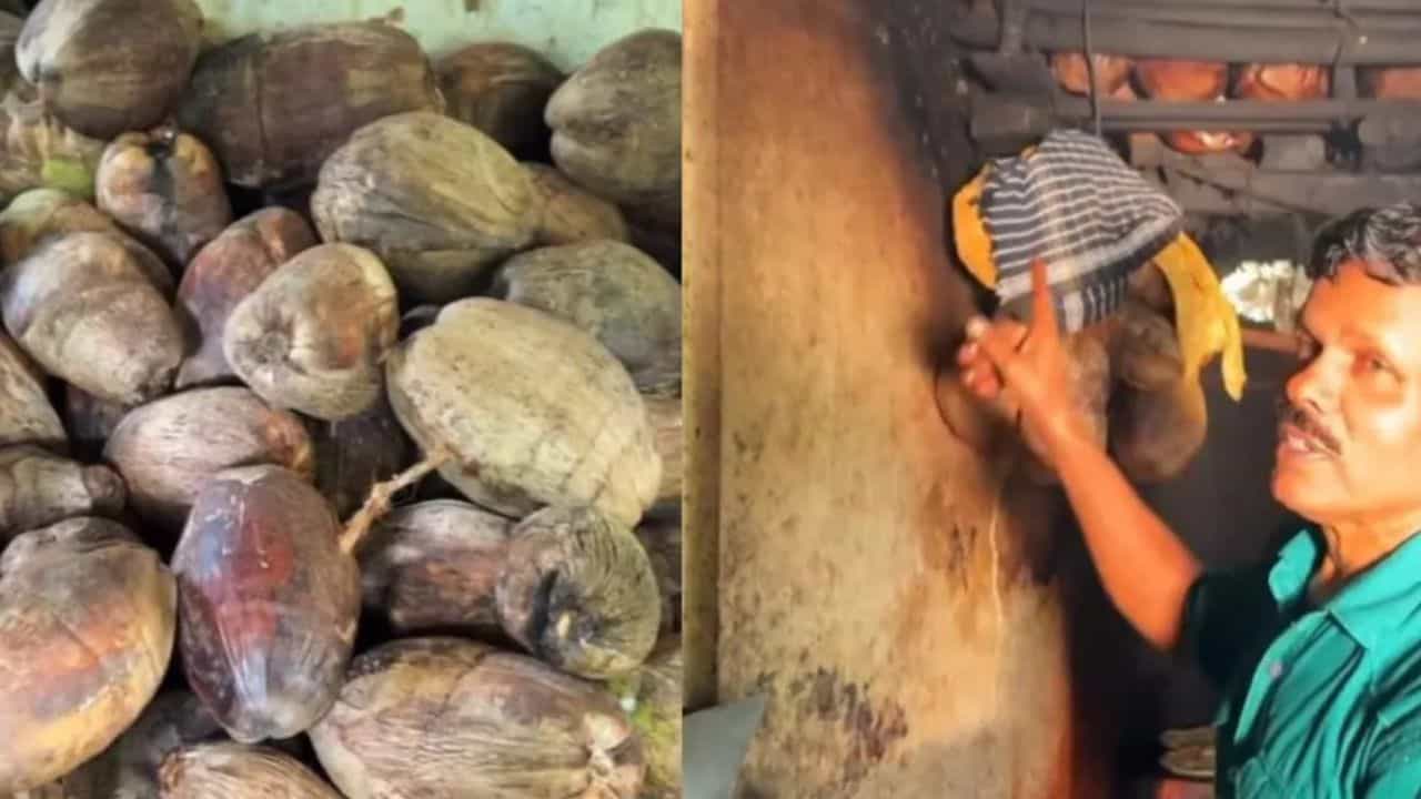 டீ கடையில் தொடரும் பண்டமாற்று முறை...இரு தேங்காய்க்கு உணவு பொருள்...எங்கு தெரியுமா!