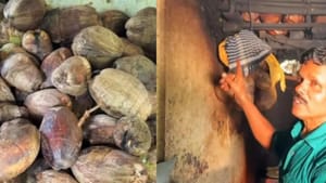 டீ கடையில் தொடரும் பண்டமாற்று முறை…இரு தேங்காய்க்கு உணவு பொருள்…எங்கு தெரியுமா! டீ கடையில் தொடரும் பண்டமாற்று முறை…இரு தேங்காய்க்கு உணவு பொருள்…எங்கு தெரியுமா!