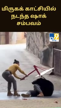 மிருகக் காட்சியில் நடந்த ஷாக் சம்பவம்.. உணவுக்காக ஊழியரை தாக்கிய கரடி.....