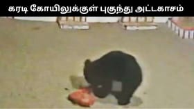 நெல்லையில் கோயிலுக்குள் புகுந்து அட்டகாசம் செய்த கரடி.. கூண்டு வைத்து பிடிக்க பொதுமக்கள் கோரிக்கை!...