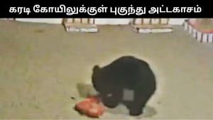 நெல்லையில் கோயிலுக்குள் புகுந்து அட்டகாசம் செய்த கரடி.. கூண்டு வைத்து பிடிக்க பொதுமக்கள் கோரிக்கை! நெல்லையில் கோயிலுக்குள் புகுந்து அட்டகாசம் செய்த கரடி.. கூண்டு வைத்து பிடிக்க பொதுமக்கள் கோரிக்கை!