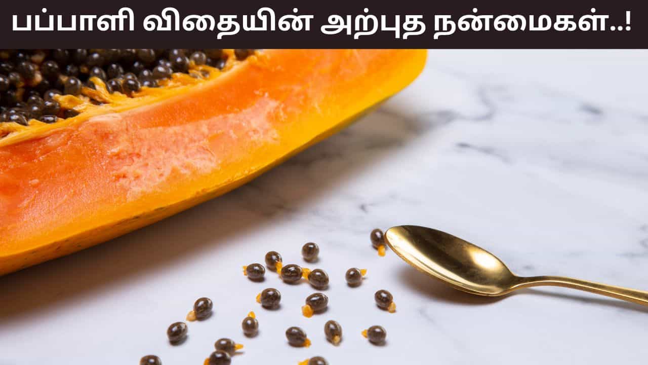 Health Tips: பப்பாளி விதைகளை தூக்கி எறிந்து விடுகிறீர்களா? இது எடையை குறைக்கும் அருமருந்து!