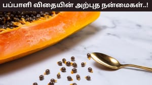 Health Tips: பப்பாளி விதைகளை தூக்கி எறிந்து விடுகிறீர்களா? இது எடையை குறைக்கும் அருமருந்து!