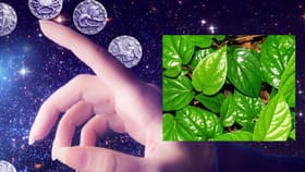 துன்பங்களை தூர விரட்டும் வெற்றிலை பரிகாரம்.. எந்த ராசி என்ன செய்யணும்?...