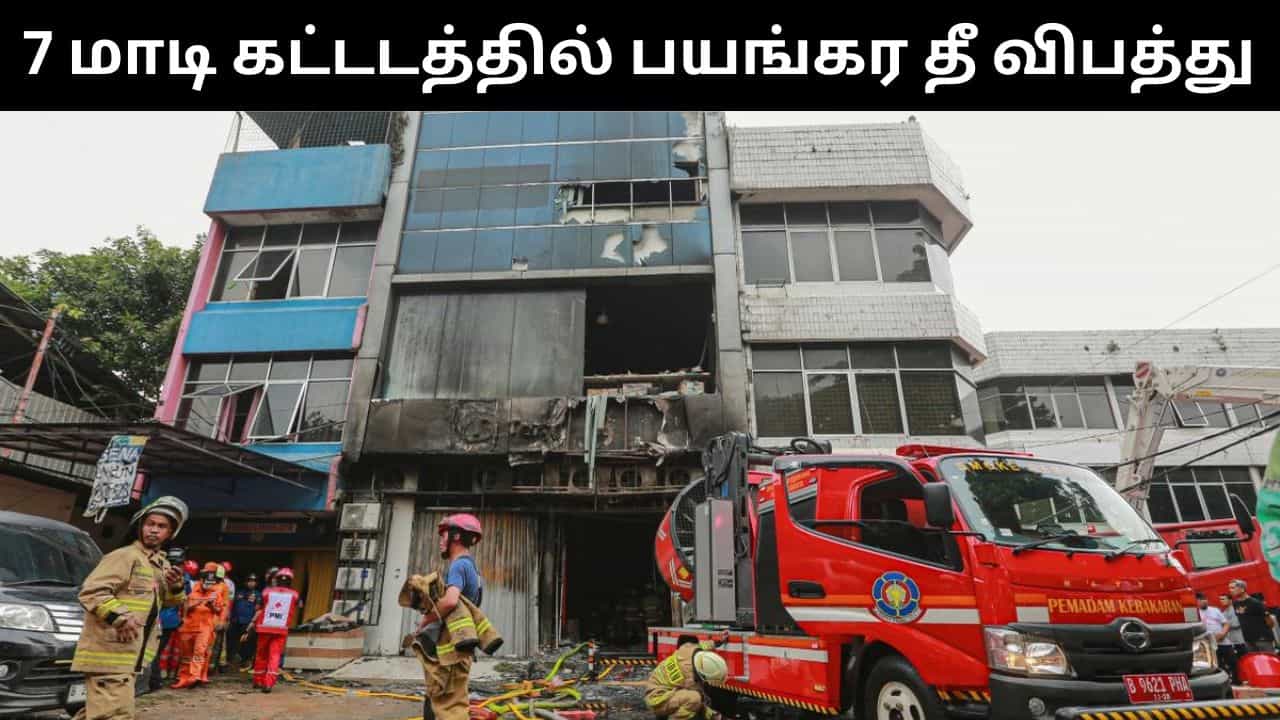 இந்தோனேசியாவில் 7 மாடி கட்டடத்தில் பயங்கர தீ விபத்து.. கர்ப்பிணி உட்பட 20 பேர் உடல் கருகி பலி! இந்தோனேசியாவில் 7 மாடி கட்டடத்தில் பயங்கர தீ விபத்து.. கர்ப்பிணி உட்பட 20 பேர் உடல் கருகி பலி!