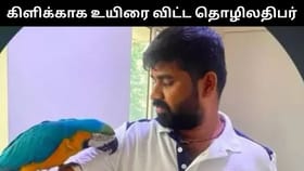 2.5 லட்சம் மதிப்பிலான கிளிக்காக உயிரை விட்ட தொழிலதிபர்.. பெங்களூரில் சோக சம்பவம்!...