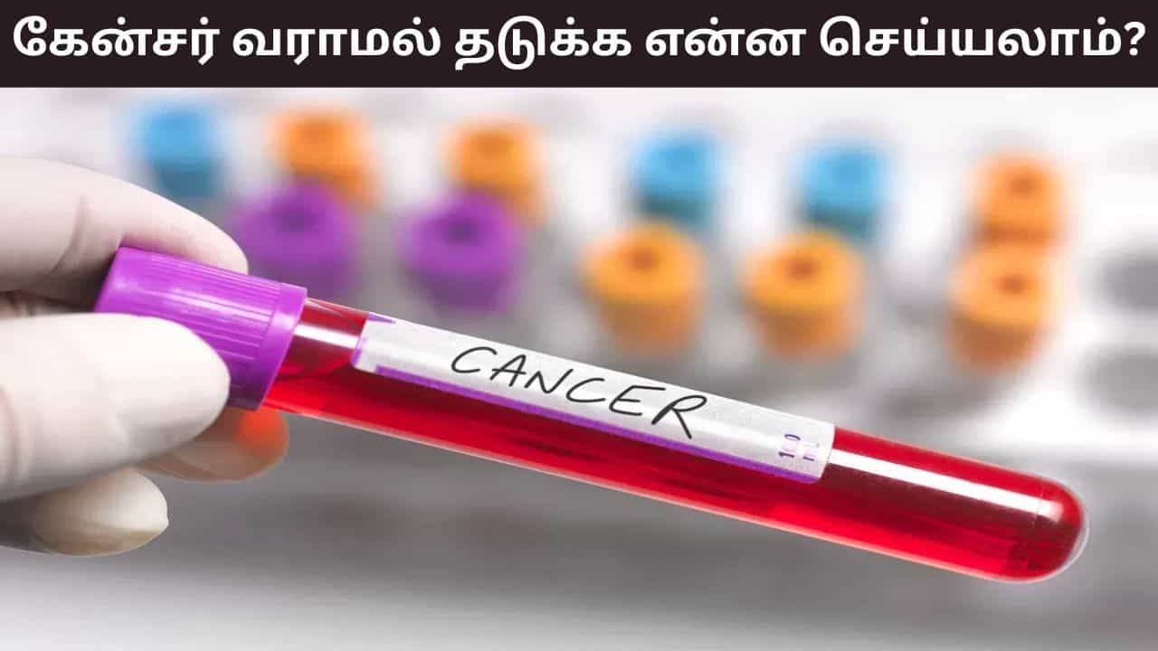 Cancer Awarness: காலையில் இந்த 4 விஷயங்கள் செய்தால் போதும்.. புற்றுநோய் அபாயம் குறையும்! Cancer Awarness: காலையில் இந்த 4 விஷயங்கள் செய்தால் போதும்.. புற்றுநோய் அபாயம் குறையும்!