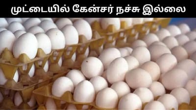முட்டையில் கேன்சர் நச்சு - வதந்திக்கு முற்றுப்புள்ளி!